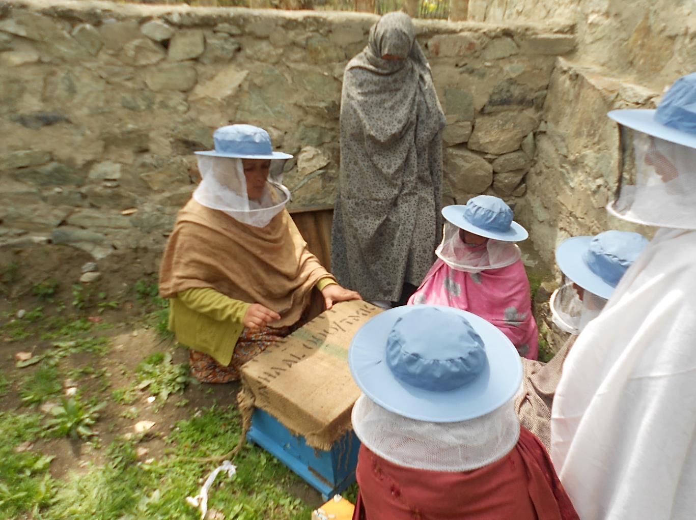 Photo 4 from Hashoo Foundation USA